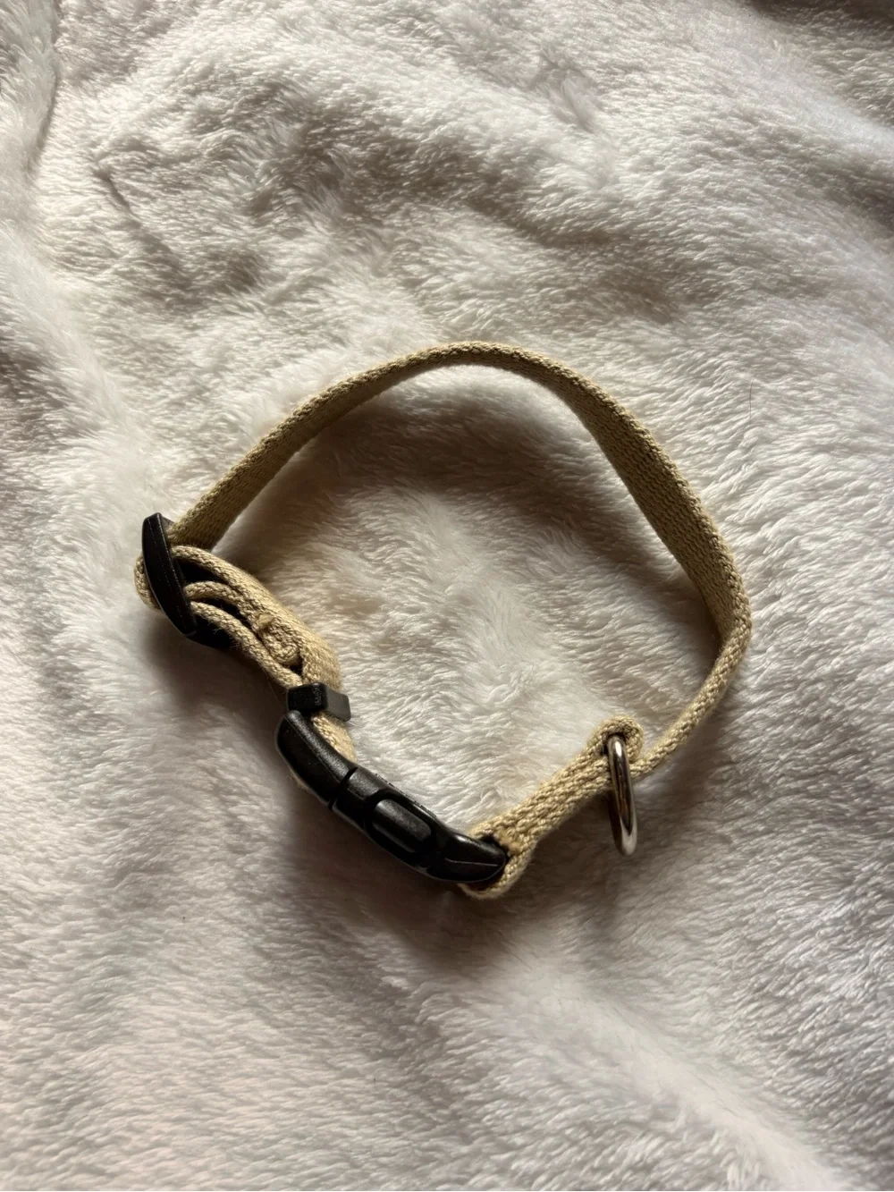 New Earth Beige Dog Collar with Metal Ring